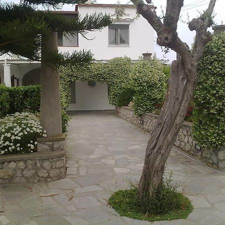 Il Merlo Anacapri  Exteriér fotografie