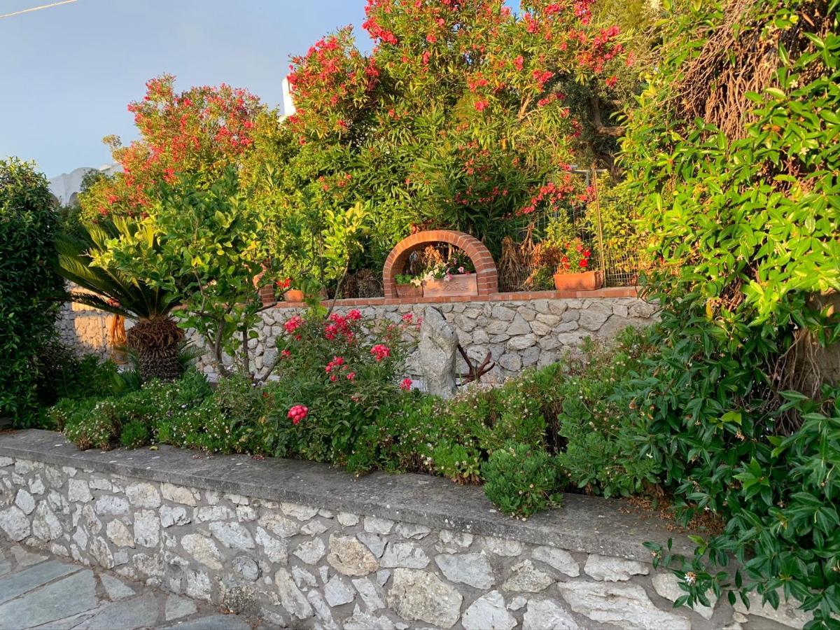 Il Merlo Anacapri  Exteriér fotografie
