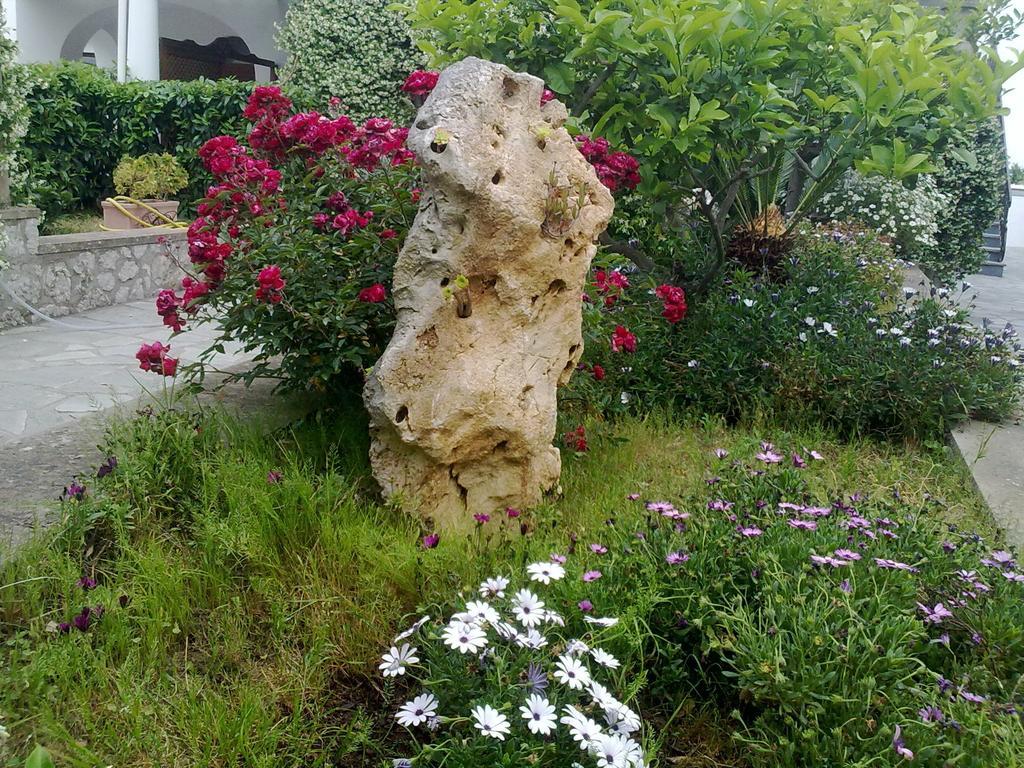 Il Merlo Anacapri  Exteriér fotografie