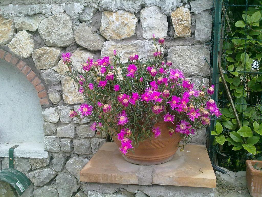 Il Merlo Anacapri  Exteriér fotografie